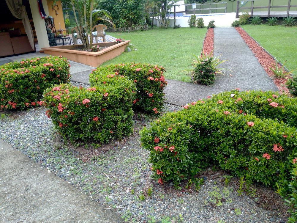 Kalea Yard Hotel Puerto Jiménez Exteriér fotografie